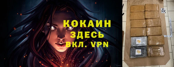 сатива Киреевск