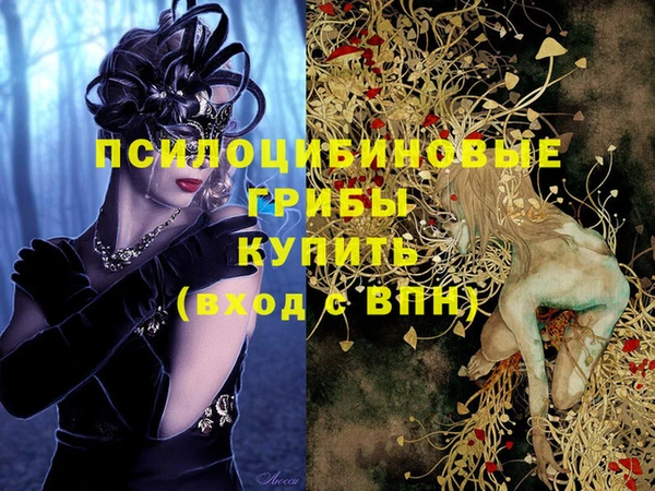 скорость Кинешма