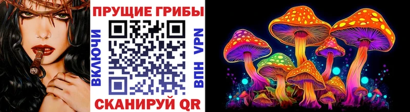 Купить где  Белёв  Псилоцибиновые грибы Psilocybe 