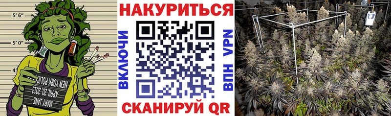 Каннабис OG Kush  Купить где  Белёв 